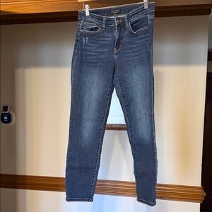Judy Blue Dark Wash Skinny Jeans